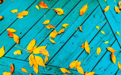 Falling for Fresh Strategies: How to Revamp Your Marketing This Autumn