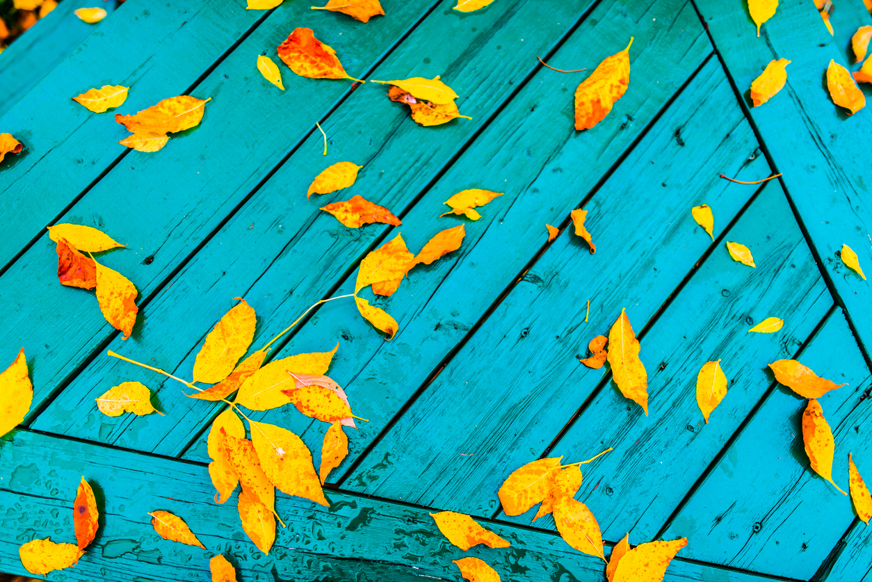 Falling for Fresh Strategies: How to Revamp Your Marketing This Autumn